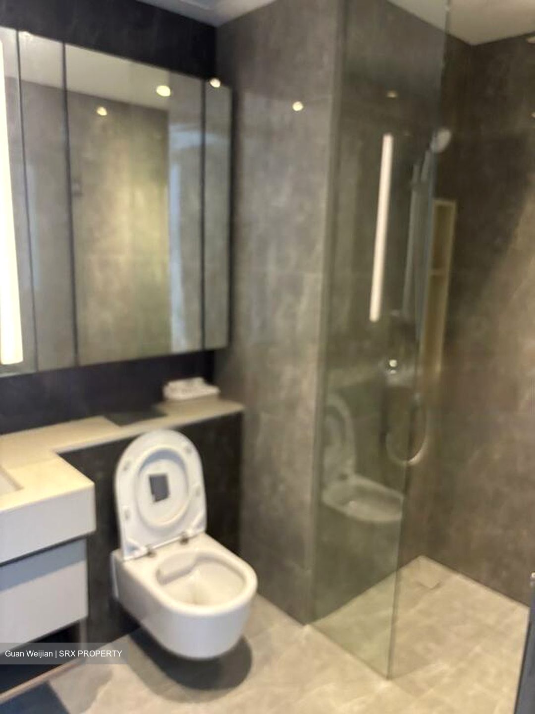 Dairy Farm Residences (D23), Apartment #571764721